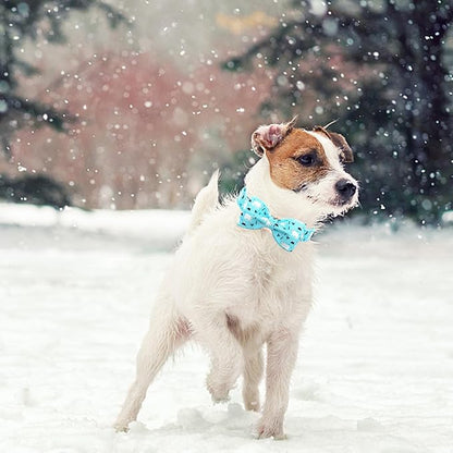 Dog Collar, Bow Dog Collar Blue Bear Pattern Pet Collar Dog Cute Bow Tie Soft Girl Boy Dog Collars with Metal Buckle for Small Dogs