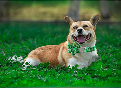 Lionheart glory St. Patrick's Day Dog Collar with Flower Dog Collar for Small Dogs, Green Plaid Cute Collars Spring Dogs Collars Flower Puppy Heavy Duty Cute