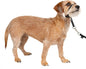 PetSafe Gentle Leader Headcollar No-Pull Dog Collar - Helps Improve Walks - Durable Nylon Construction - Padded Nose Loop - Adjustable Fit - Comfort Walking Halter - Small, Black