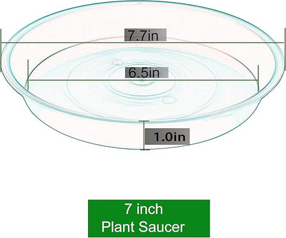 6 Pack of 7 inch Plant Saucer, Heavy Duty Plastic Plant Water Tray 7 inch Round, Flower Plant Saucers for Indoors No Holes, Plant Dishes Saucer for Planter 7"/8" (7", White)