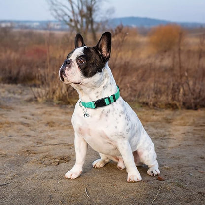 PUPTECK Adjustable Dog Harness Collar and Leash Set Step in No Pull Pet Harness for Small Medium Dogs Puppy and Cats Outdoor Walking Running, Soft Mesh Padded Reflective Vest Harnesses, Solid Green S