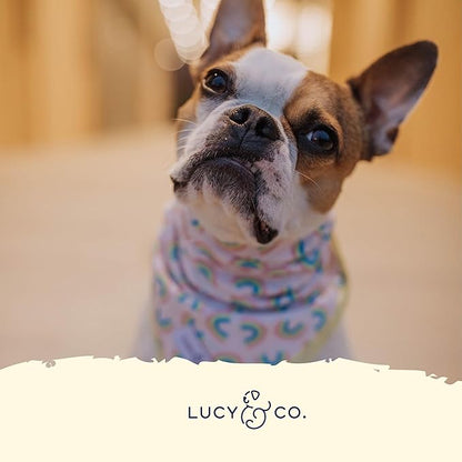 Lucy & Co. Dog Collar - Durable Lightweight Designer Collar for Pets - Adjustable Metal Safety Buckel. (Just Chill Collar).