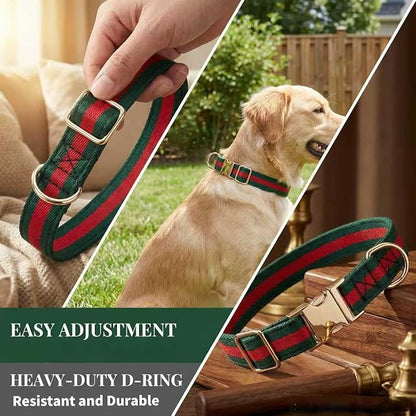 Premium Dog Collar, Cute Dog Collars Luxury Style, Durable Pet Collars with Metal Buckle Safety for Medium Dogs