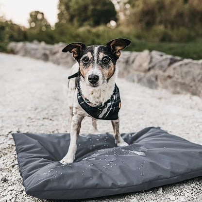 Waterproof Dog Bed Protector. (53 L x 42 W x 5 H inches) Washable Removable Orthopedic, Cooling Gel and Memory Foam Pet Bed Cover. Cover only. (Gray)