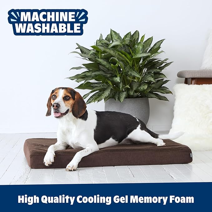 Barkbox Orthopedic Dog Bed with Memory Foam, Premium Comfort for Dogs and Puppies, Dog Bed for Joint Relief and Restful Sleep, Durable and Easy to Clean - Espresso, Medium