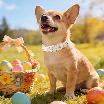 Easter Day Dog Collar, UP URARA PUP Easter Bunny Adjustable Pet Collar with Quick Release, Colorful Rabbits Dog Collars for Small Medium Large Dogs