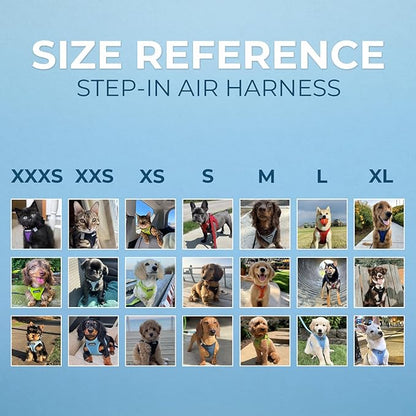 Best Pet Supplies - All Weather Mesh/Plush, Reflective, No Pull Harness for Small, Medium Dogs, Cats - Secure with Hook & Loop Fastener, Buckle, Double D-Rings - Gray 2-Tone, XS