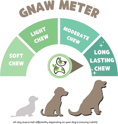 Nature Gnaws Bully Sticks for Dogs 5-6" (8oz) - Mixed Thickness - Long Lasting for Aggressive Chewers and Large Dogs - Natural Beef Dog Chew Bones