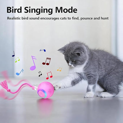FUNNYDUCK Speed 2.0 Tail Interactive Cat Toy – Motion-Activated Rolling Ball with Chirping Sounds, USB Rechargeable Smart Ball Toy for Indoor Cats & Kittens, Enrichment & Exercise