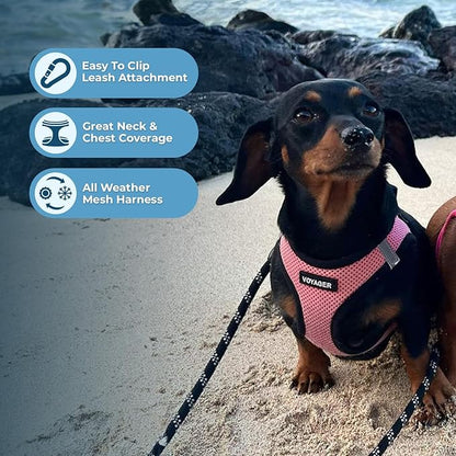 Best Pet Supplies - All Weather Mesh / Plush, Reflective, No Pull Harness for Small, Medium Dogs, Cats - Secure with Hook & Loop Fastener, Buckle, Double D-Rings - Pink/Black Trim, XS