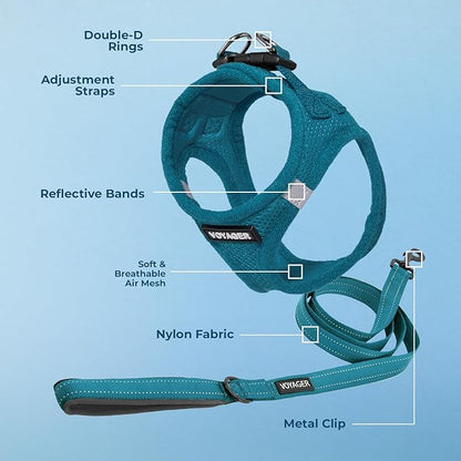 Best Pet Supplies Voyager Step-in Air All Weather Mesh Harness and Reflective Dog 5 ft Leash Combo with Neoprene Handle, for Small, Medium and Large Breed Puppies - Set (Turquoise), S