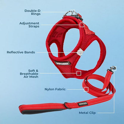 Best Pet Supplies Voyager Step-in Air All Weather Mesh Harness and Reflective Dog 5 ft Leash Combo with Neoprene Handle, for Small, Medium and Large Breed Puppies - Set (Red), M (Chest: 16-18")