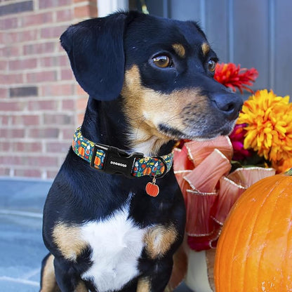 DOGWONG Fall Pumpkin Dog Collar, Fall Maple Leaf Dog Collars Adjustable Halloween Pumpkin Dog Collars for Small Medium Large Dogs XS