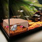 Natural Shrimp Cave for Aquarium – Safe Fish Tank Decor, Breeding Hideout for Freshwater Shrimp, Cichlids & Small Fish