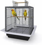Garvee Small Bird Cage with Playground Stand, 20 Inch High Travel Bird Cage for Parrot, Parrot Carrier for Parakeet, Cockatiels, Budgies Medium Small Sized Birds