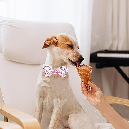 Lionheart glory Dog Collar Shark Print Dog Bow Collar Pink Dog Collar Male or Female Summer Spring Collars with Bowtie Pet Gift Durable Adjustable Soft Dog Collar for Large Dogs