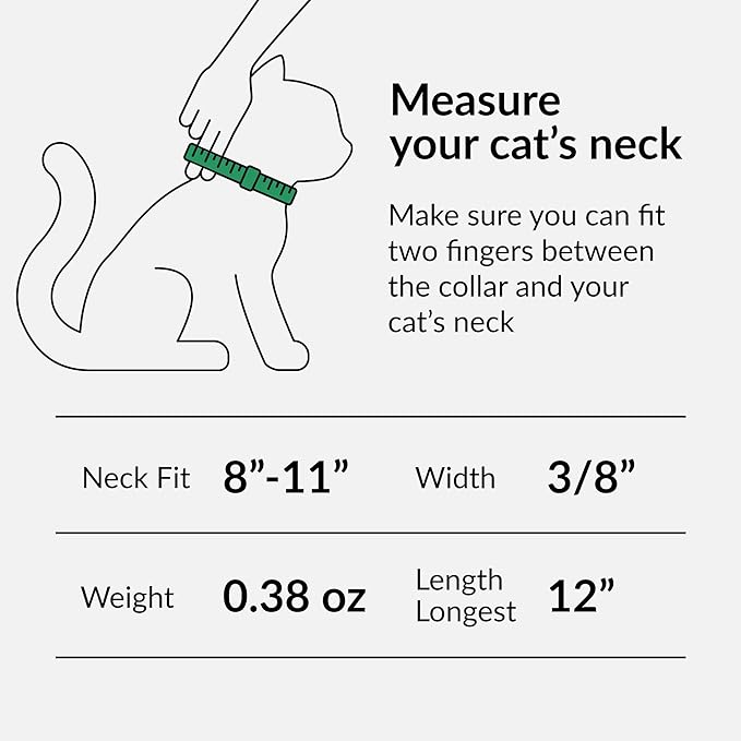 CollarDirect Leather Cat Collar with Bell - Kitten Collar, Small and Big Cat Collar for Boy Cats, Girl Cats with Safety Elastic Strap (Neck Fit 8"-11", Black)