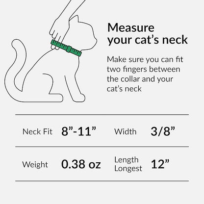 CollarDirect Leather Cat Collar, Kitten Collar with Removable Bell Black Blue Red Orange Lime Green (8-11 Inch, Lime Green)