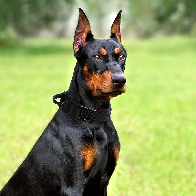 Tactical Dog Collar Set, Adjustable Military Training Nylon Dog Collar with Control Handle and Heavy Quick-Release Metal Buckle for Small Medium Large Dogs, Black Set L