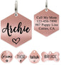 Ultra Joys Personalized Hexagon Dog Tag - Brushed Stainless Steel, Rose Gold, Small