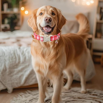 Plaid Dog Collar - Cute Red and Pink Plaid Puppy Collar with Safety Buckle, Soft Adjustable Holiday Dog Collars for Small Medium Large Dogs L