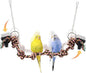 Bird Rope Perch & Swing Toy, Sturdy Knotted Parrot Cotton Rope with Chains, Parakeet Swing Perch Bird Cage Accessories Toy, No Sharp Wires for Budgie Cockatiel Safe Claw and Balance Training