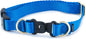 PetSafe KeepSafe Collar for Dogs - Protects Against Collar Accidents - Long Lasting - Durable - Adjustable - Breakaway - Outdoor-Safe - Medium - 3/4 In. Wide - Blue