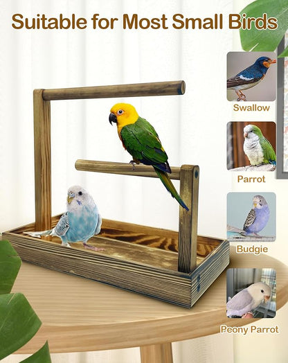 8 Pcs Small Bird Training Stand Set Portable Tabletop Birds Perch Desktop Platform Training Perch with Disposable Pads Parakeet Play Gyms Exercise for Budgie Conure Parrot Cockatiel