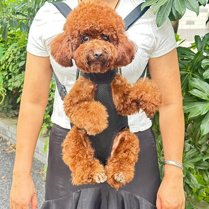 Pet Dog Carrier Backpack, Portable Breathable Mesh Chest Carrier, Polyester Woven Double Shoulder Pet Bag for Outdoor Adventures (Black, Small)