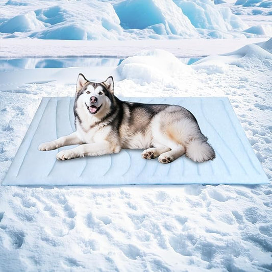 BECEMURU Dog Cooling Mat in Summer & Plush Warm Blanket in Winter, 2-Sided Reversible Dog Pad, 60"x40" Thickened Pet Bed for Crate, Kennel, Sofa - Machine Washable, Non-Gel, Durable