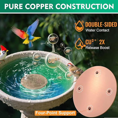 1 Pcs Copper Disc for Bird Bath | 99.99% Pure Copper Plate & Birdbath Disk | 0.6mm Thick Reinforced Design | Maintains Clean Water Naturally | Fits All Birdbath Bowls Year-Round (Bird Style 4)