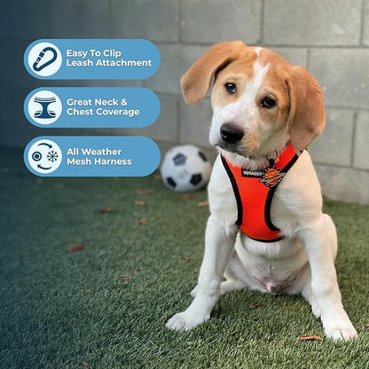Best Pet Supplies Voyager Step-in Air Harness - All Weather Mesh, Reflective, No Pull Harness for Dogs, Cats - Secure with Hook & Loop Fastener, Buckle, Double D-Rings - Orange/Black Trim, XL
