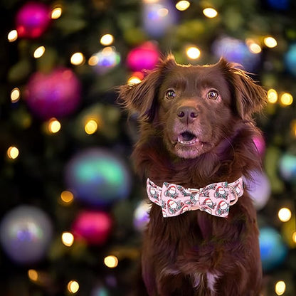 Christmas Dog Collar, Pink Christmas Santa Claus Dog Collar Bow Tie Pet Collars with Bow Adjustable Pet Collars with Premium Metal Buckle Dogs Necklace for Small Girl Dogs