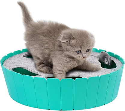 Pawaboo Interactive Cat Toy with Running Mouse, Electronic Motion Cat Toy Automatic Teaser for Indoor Cats, Pop and Play Hide Seek Cats Toys Hunting Mouse for Pet Kitten Play Fun Exercise, Lake Blue