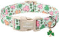 St Patricks Day Dog Collar for Puppy Small Dogs - Cute Pastel Lucky Clover Dog Collars, Lightweight Adjustable Irish Green Festival Dogs Collars with Quick Release Buckle XS