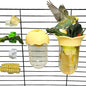 7 PCS Bird Cage Feeder for Vegetable Millet Holder Cage Accessories with Parrot Fruit Forks for Budgie Cockatiel Lovebirds Parrot