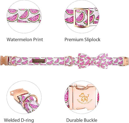 Elegant little tail Dog Collar, Watermelon Print Pet Collar Summer Dog Collar Durable Metal Buckle Dog Collars Cotton Pet Adjustable Dog Collars for Medium Dogs