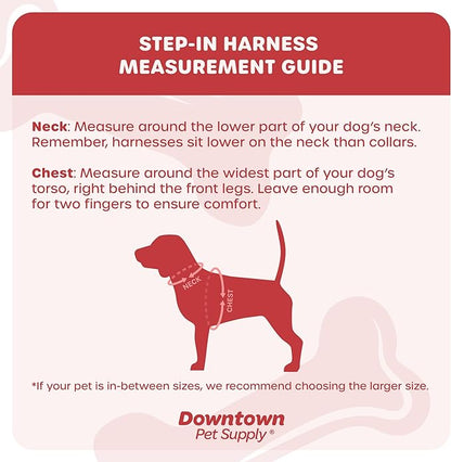 Downtown Pet Supply Step-in Dog Harness – No Pull, Adjustable Padded Mesh with Reflective Trim, Secure Buckle Strap – Comfortable & Breathable Small Dog Harness, Medium, Space