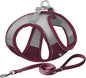 AIITLE Comfortable Dog Harness and Leash Set for Walking - Christmas Step in Vest Harness,Reflective Bands, Adjustable No Pull Puppy Essentials, for Small Dogs and House Cats Burgundy XS