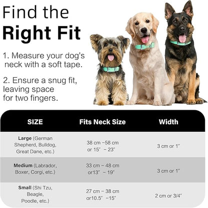4.2FT Dog Collar and Leash Set, PVC Waterproof Adjustable Odor Proof Pet Collars Leashes, Easy to Clean, Surface 3D Cube Effect, Dog Leash for Small Dogs, Light Green