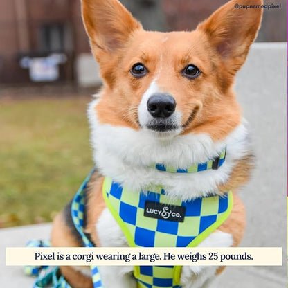 Lucy & Co. Lime Green with Blue Checker Smiley Faces, Cute Reversible Dog Harness Walking Halter - Best Designer Pet Harnesses for XS - XL Dogs - Padded Adjustable Vest for Easy Walking (X-Small)