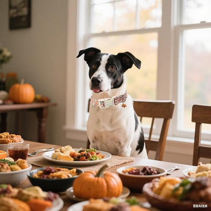 DOGWONG Fall Plaid Dog Collar,Turkey Thanksgiving Dog Collars, Adjustable Cute Pumpkin Pet Collars Design Dog Collar for Small Medium Large Dogs