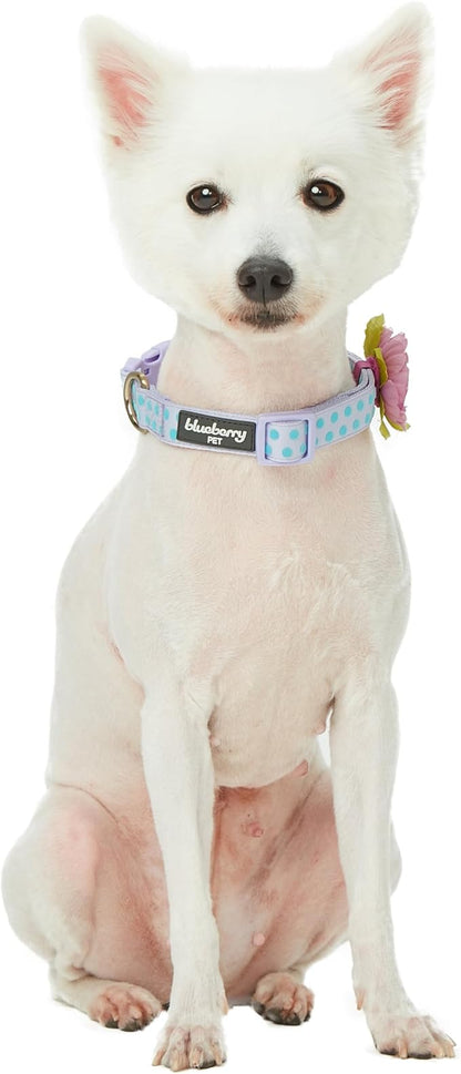 Blueberry Pet Flocking Dog Collar, Small Girl Dog Collar with Silk Flower, Polka Dot Pastel Purple, Adjustable Dog Collars for Small Dogs, 12"-16" Neck, Eco-Friendly Buckles