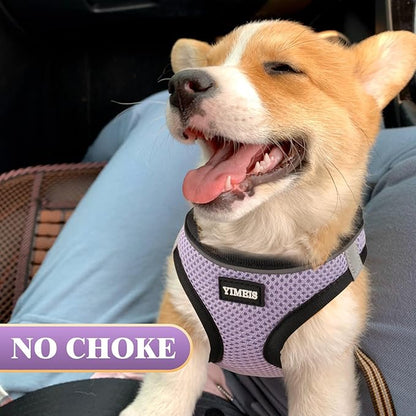 YIMEIS Dog Harness and Leash Set, No Pull Soft Mesh Pet Harness, Reflective Adjustable Puppy Vest for Small Medium Large Dogs, Cats (Taro Purple, Medium (Pack of 1)