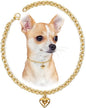 HOWWFALY Dog Collar and Cat Chain Necklace Stainless Steel Adjustable 18K Gold Heart-Shaped Necklace for Small Pets Cats Kitten Puppy (Gold, 10 inch)
