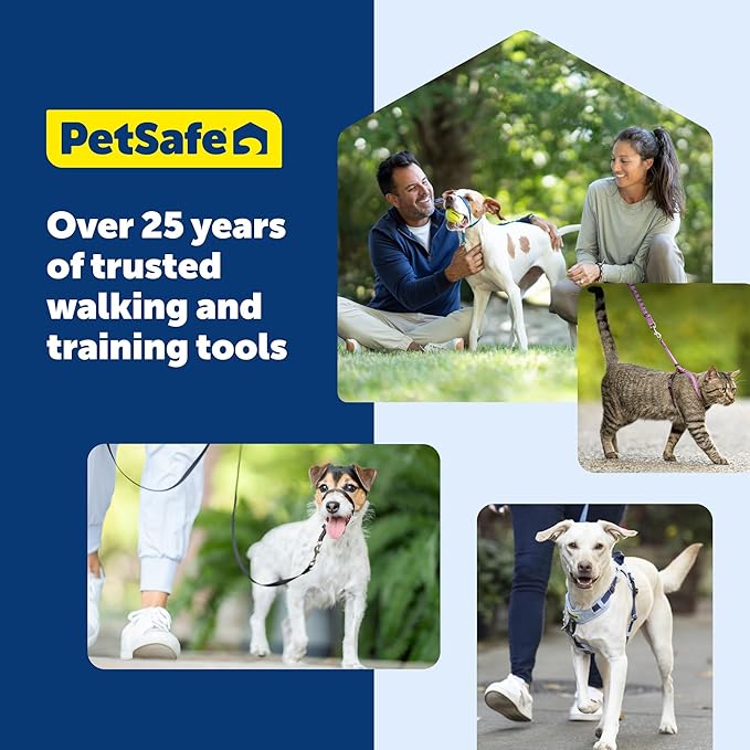PetSafe Gentle Leader Headcollar No-Pull Dog Collar - Helps Improve Walks - Durable Nylon Construction - Padded Nose Loop - Adjustable Fit - Comfort Walking Halter - Medium, Charcoal