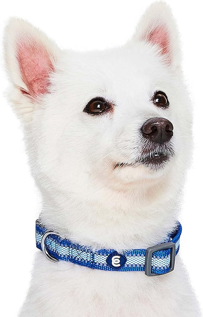 Blueberry Pet Medium Dog Collar in Reflective Navy Blue | Adjustable Classic Nylon Strap | Durable, Stylish & High-Visibility Dog Gear