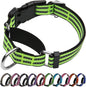 Martingale Dog Collar, Adjustable Nylon Reflective Collar with Buckle No Pull Dog Collar for Small Medium Large Dogs (Lime Green Medium)