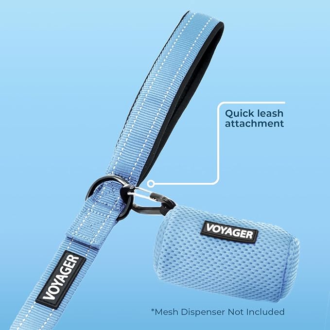 Best Pet Supplies Voyager Reflective Dog Leash or Collar with Neoprene Handle, for Small, Medium, and Large Breed Puppies, Cute and Heavy Duty for Walking, Running and Training - Baby Blue (Leash), M