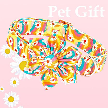 Lionheart glory Dog Collar with Flower, Sunflower Pattern Pet Collar Durable Cute Dog Flower Collars Summer Spring Female Pet Gift Adjustable Dog Collar for Large Dogs